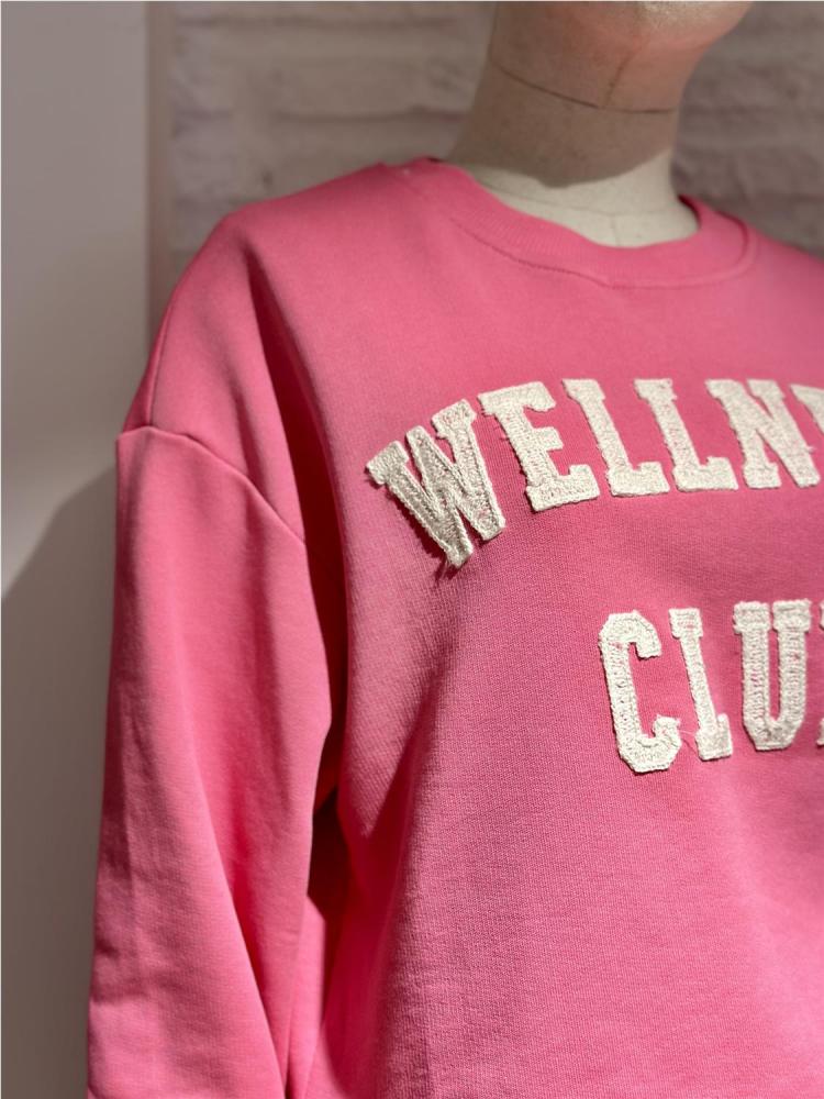 SUDADERA WELLNES CLUB ROSA... 2